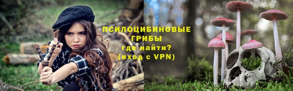 МДПВ Касимов